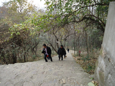 ɽ���Ǻܸ������ǵ��������X��߀�����c(di��n)������